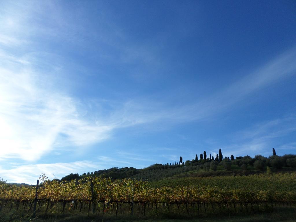 Tenuta Villa Rocchi Torrita di Siena Bagian luar foto
