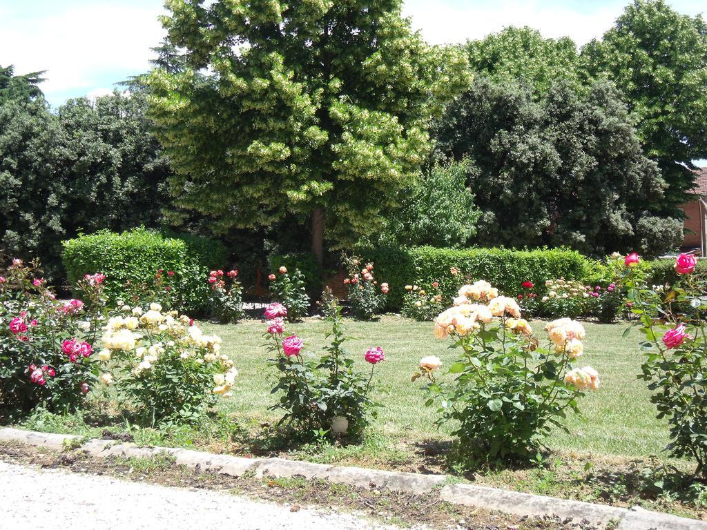 Tenuta Villa Rocchi Torrita di Siena Bagian luar foto